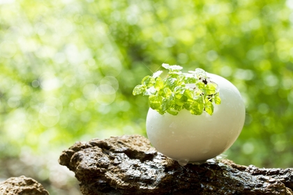 これからは「発信」の時代